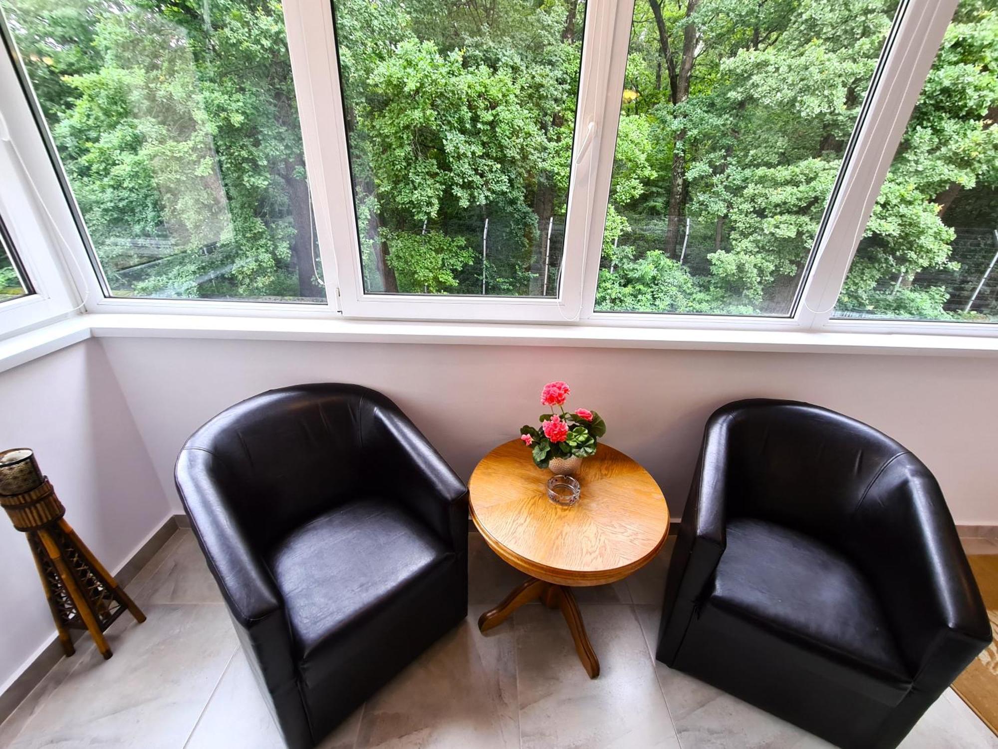 Apartament Giulio シビウ エクステリア 写真